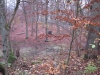 2014 11 15_e