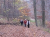 2014 11 16_c9h