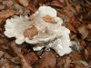 2014 1116_c9a_2