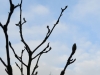 2015 03 07_e