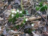 2015 03 14_b1