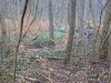 2015 03 14_b5