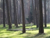 2015 04 11_e5a