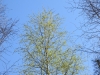 2015 04 19_a3d