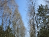 2015 04 19_a6