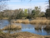 2015 04 19_h4c
