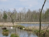 2015 04 26_b3