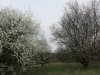 2016 04 09_a4e