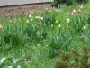 2016 04 23_a