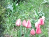 2016 04 23_a1