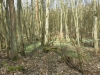 2016 03 19_a7c