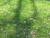 2017 04 01_a1s9a