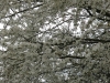 2017 04 08_a1t7