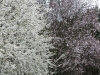 2017 04 08_a1t8