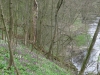 2017 04 09_a1i