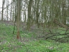 2017 04 09_a1j