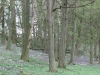 2017 04 09_a1w2