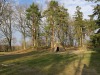smoldzin-2020-79