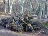 16-04-20-orzechowo6f