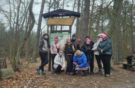 Noworoczne przejście Nordic Walking